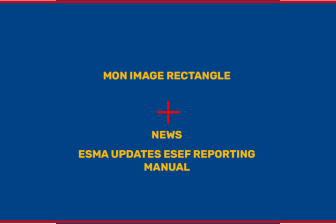 Rectangle - News - ESMA updates ESEF Reporting Manual